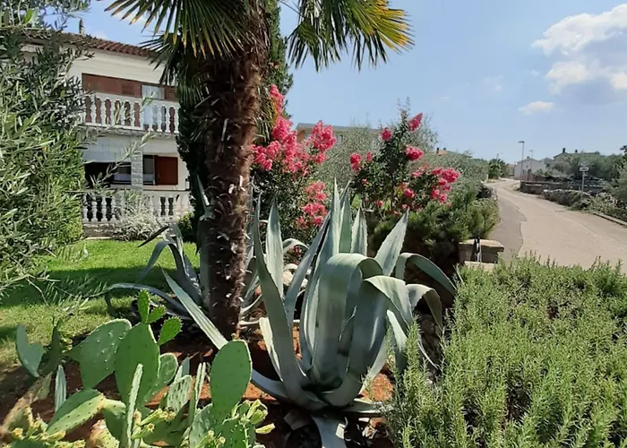 House On Island Of Krk *